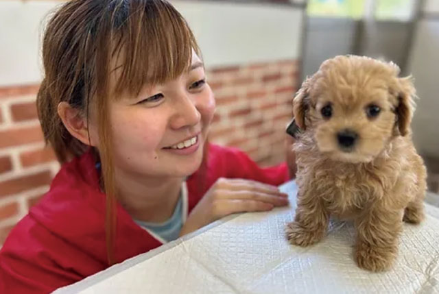 ペットが大好き、動物に関わる仕事がしたいという方必見◎｜ペットショップスタッフ／週休2日／残業ほぼありません