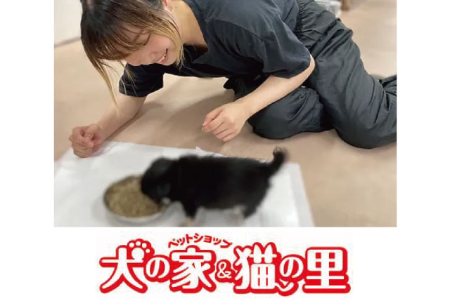ペットショップスタッフ｜未経験・他業種からの転職歓迎／週休2日＆残業ほぼ無し◎