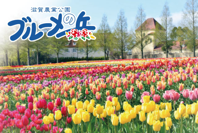 【ブルーメの丘】GW期間中の短期STAFF大募集！（4/25～5/6）高校生～シニアまで幅広い年代から歓迎します♪