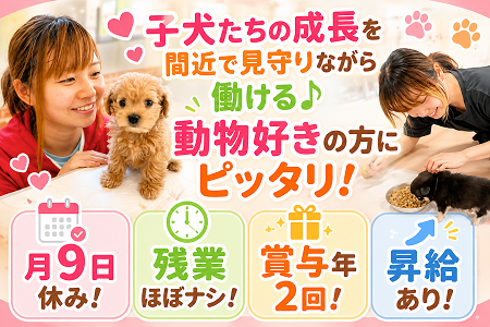 未経験OK！子犬たちのお世話スタッフ募集！かわいいワンちゃんに囲まれて働ける正社員！残業ほぼナシ＆賞与年2回♪