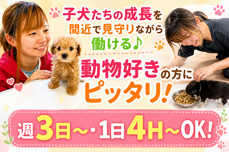 週3日・1日4時間～OK！扶養内勤務OK！子犬たちのお世話スタッフ募集♪動物好きの方にオススメ！社割もあり♪